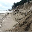 백사장민박 이미지