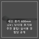 구몰 | 세신 몽키 600mm (24') 낚시대 후기와 추천 꿀팁! 실사용 경험담 공개