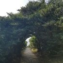 경승지 이미지