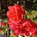 어울림행정사 사무소 이미지