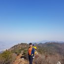 백양정약수터 이미지