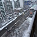 새소망약국 | 📝 우리 우리 설날은 2026년 2월의 이모저모 | 월간 린모저모