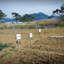 마을농장 이미지