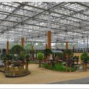 선바위(분재전시관) 이미지