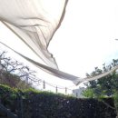 제주마중 협재 이미지