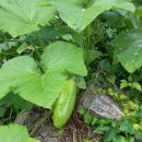 날마다잔치 이미지