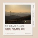 하늘 | 평창 가족여행 코스 추천, 대관령 하늘목장 후기