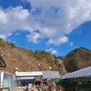 비둘기농장 이미지