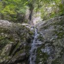 용촌농장 이미지