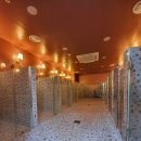 쉐이크테일 강아지 애견 유치원 호텔 미용 이미지