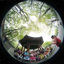 오늘의 포토뉴스 2008.04.23 수요일 이미지