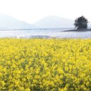 남해-135 이미지