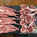 양도둑 선학점 이미지