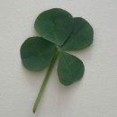 국밥명당 이미지