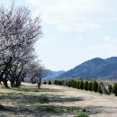 무릉공원 주차장 이미지