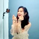 래비트