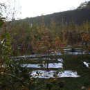 운천농장 이미지