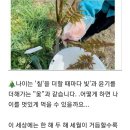 #️⃣일명:고양이 기생충 톡소플라즈마' 기생충 감염검사 비보험 ₩46.000원을 보험수가 적용시켜 주세요. 이미지