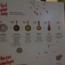 에스닉푸드 이미지