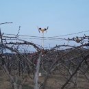 (주)제이유 이미지