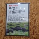 황간흑염소 이미지