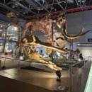 민들레워커협동조합 | 대전 국립중앙과학관 주말 방문기| 창의나래관 실패 후기 &amp; 식당 메뉴 추천 및 무료관 투어