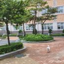 ::6월기록) 휘돌이가 제일 신난 6월♡