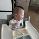 꾸러기유통 | 코스트코 우둔살 이유식 한우 1등급 투쁠 소고기 구매 초기, 중기, 후기 양