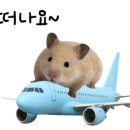 섬바디관광호텔 이미지