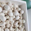 석성농장 이미지