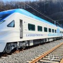 하단동198 이미지