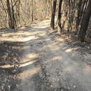 양학산KCC스위첸경로당 | 양학산 등산코스 (들머리 KCC ~ 날머리 이마트) 벌목으로 인해 양학산이 민둥산이 되어가는중
