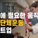 튼튼한거북이 이미지