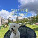 내유길80번길 | 경기도 고양시 반려견동반카페 &lt;피터펫츠 내유점&gt; 내돈내산 후기
