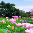 최윤환 | 소란스러운 청남들을 사랑합니다