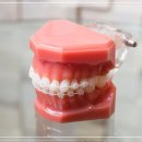 종로밀레니엄치과의원 이미지