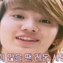 연어와딱새우