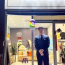 톰퍼피 강아지 분양 이미지