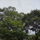 당진 면천면에 있는 영탑사 이미지