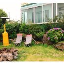 베티하우스 이미지