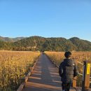 순천만습지 용산입구 화장실 | 순천만 용산전망대 일몰 보러 다녀왔어요 !