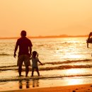 노을 카카오 검색결과