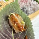 해송 | [영등포 맛집] 해송 - (아재카세/ 솔직후기)