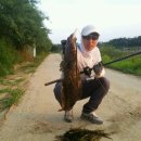 만식이네 이미지