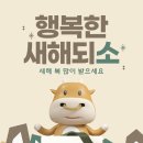 샘머리태권도 이미지