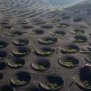 란사로테 이미지