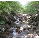 노고단-16 이미지