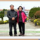 웅치초등학교 Daum카페