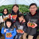 김선규농장 이미지