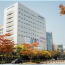 김포생활체육관 테니스장